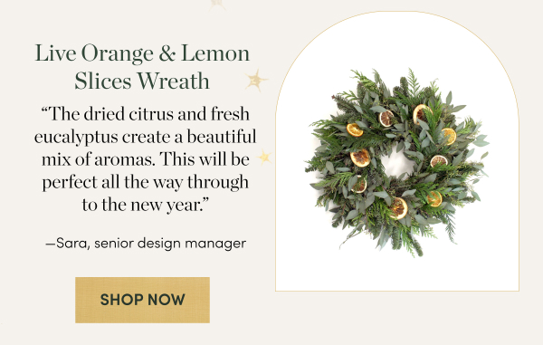 Shop Live Orange and Lemon Slices Wreath