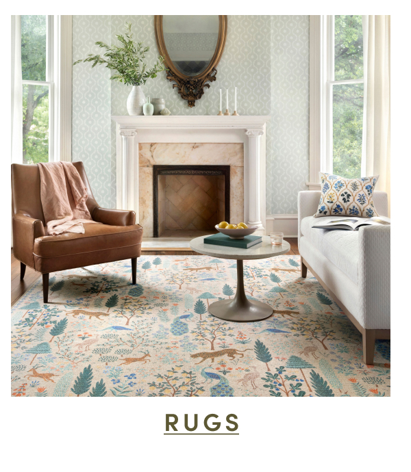 Shop Rugs