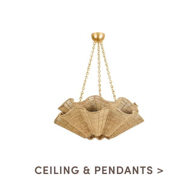 Shop Ceiling and Pendants